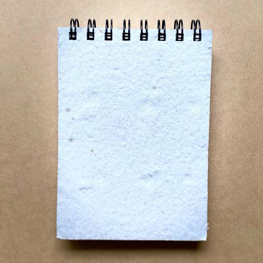 Mini Blog ecológico A6