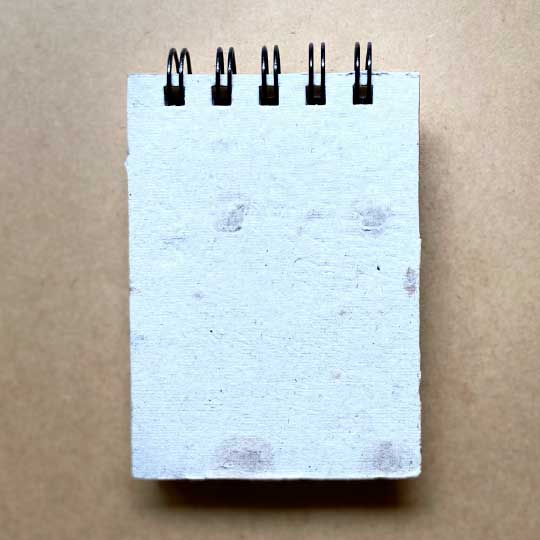 Mini Blog ecológico A7